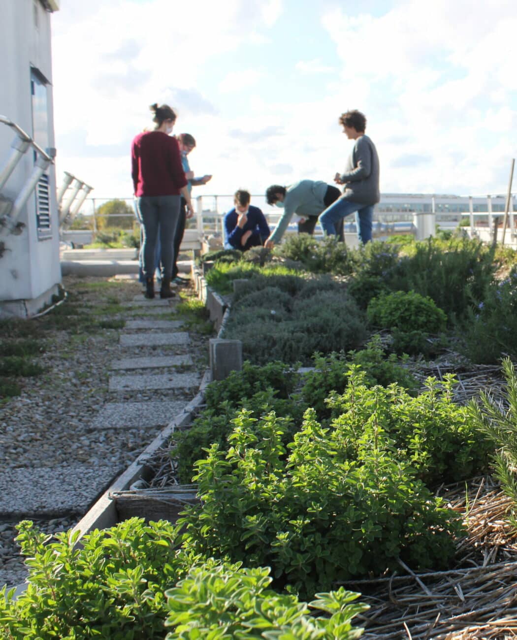 Enjeu : évaluer la biodiversité urbaine sur différents types d’infrastructures.