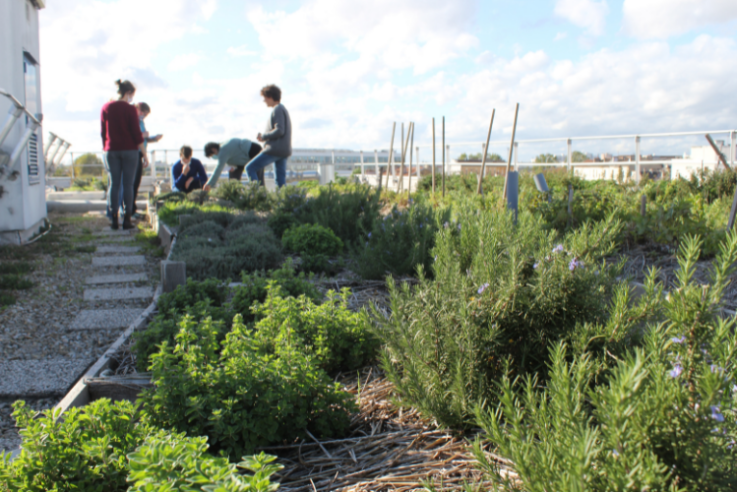 Fondation20AgroParis20Tech
